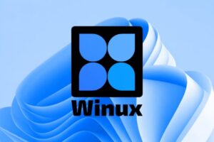 Winux 1536x864 1 1024x576