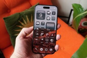 P1010877 820x461 19022026141023.jpg