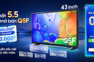 Qled estore newsroom 1777868181.png